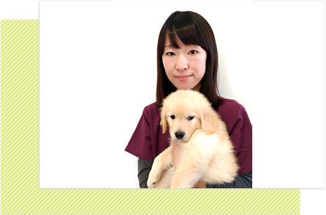 はづき動物病院 院長 伊藤詩織